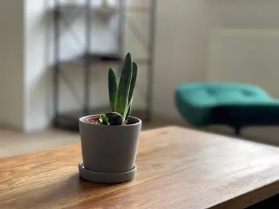 Ein Sitzbereich in der Unterkunft modern * zentral * Netflix * Arbeitsplatz