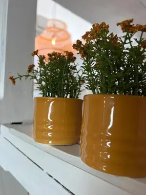 Grundriss der Unterkunft Geschmackvolle Wohnung 65qm in Solingen NRW