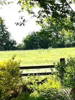 Ein Garten an der Unterkunft Ferienwohnung Rehblick in Reken - Ruhe & Erholung pur!