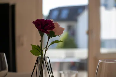 Getränke in der Unterkunft Uniklinik-Nähe Modernes Apartment, mit Balkon