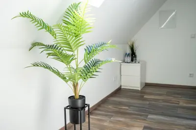 Grundriss der Unterkunft XXL Superior Apartment 1 - 1 bis 10 Personen