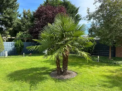 Ein Garten an der Unterkunft Auszeit Apartment Düsseldorf
