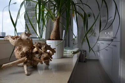 Grundriss der Unterkunft Innenstadt Appartement Essen