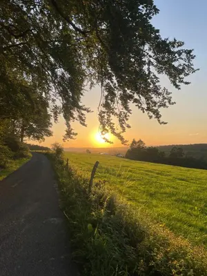 Blick auf den Sonnenuntergang/Sonnenaufgang von der Ferienwohnung aus oder aus der Nähe