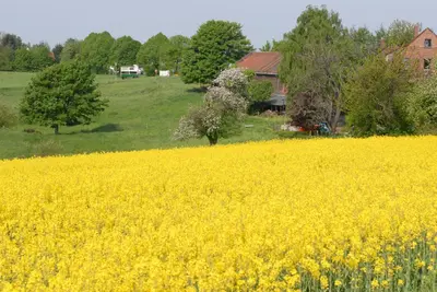 Naturlandschaft in der Nähe der Ferienwohnung