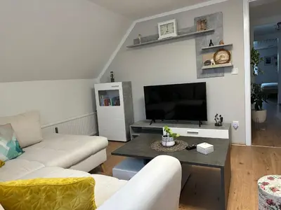 TV/Unterhaltungsangebot in der Unterkunft Cozy apartment in Haltern am See