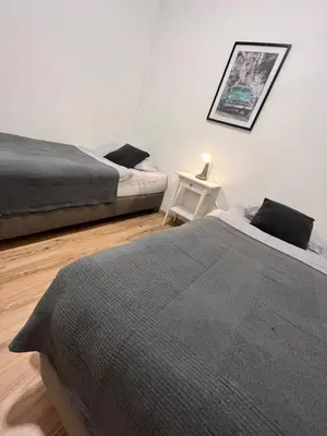 Ein Bett oder Betten in einem Zimmer der Unterkunft Apartment Central 10C 40qm Wi-Fi free Parking calm back house