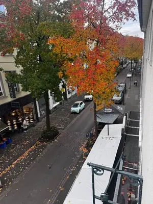 Die Umgebung um die Ferienwohnung