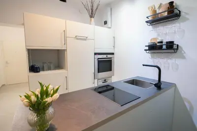 Küche/Küchenzeile in der Unterkunft TANIC Deluxe Apartment Garden Central Industrial Fair