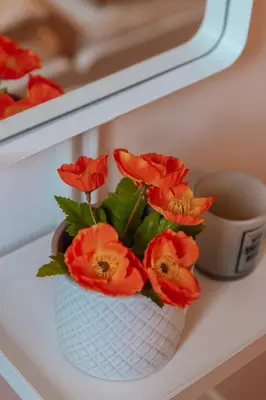 Essen in der Ferienwohnung oder in der Nähe