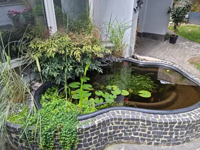 Ein Garten an der Unterkunft 3 Zimmer Apartment mit Garten