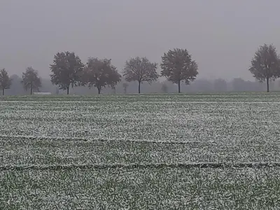 Grundriss der Unterkunft Landidylle mit Garten, Whirlpool und Klima