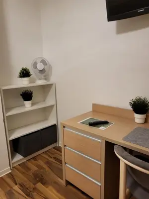 TV/Unterhaltungsangebot in der Unterkunft Hotel Mettmann