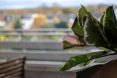 Ein Balkon oder eine Terrasse in der Unterkunft Lichterfüllte Erholungsoase für Groß und Klein