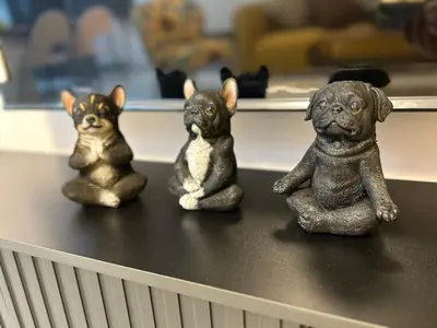 Haustiere von Gästen der Unterkunft Messe HV-2