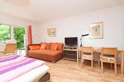 TV/Unterhaltungsangebot in der Unterkunft Essen City quiet flat with terrace and garden