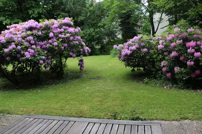 Ein Garten an der Unterkunft Essen City quiet flat with terrace and garden