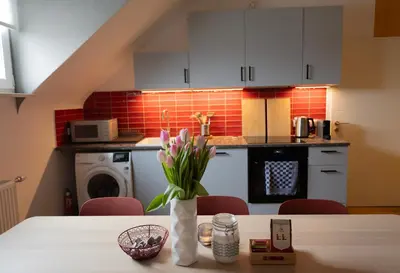 Küche/Küchenzeile in der Unterkunft Big flat with fresh renovation, free parking, SonyPS, Netflix