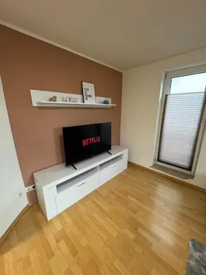 TV/Unterhaltungsangebot in der Unterkunft Alex Apartment's 2