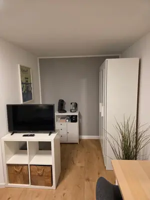 TV/Unterhaltungsangebot in der Unterkunft Apartment Tanne