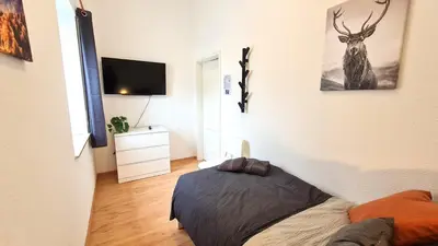 TV/Unterhaltungsangebot in der Unterkunft Modernes Apartment für 5 Personen