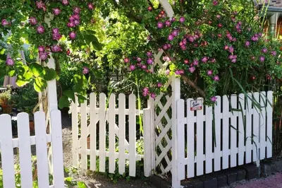Ein Garten an der Unterkunft Ruhrpott-Paradies