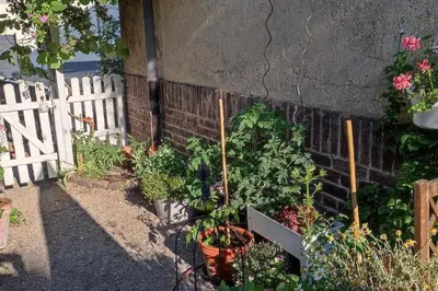 Ein Garten an der Unterkunft Ruhrpott-Paradies