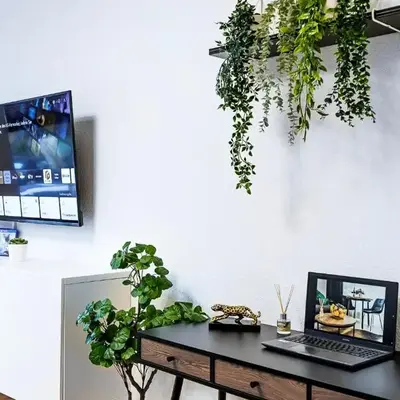 Zentral-Kingsize Bett-Playstation 4-HBF nach Köln und Düsseldorf