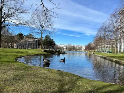 Naturlandschaft in der Nähe der Ferienwohnung