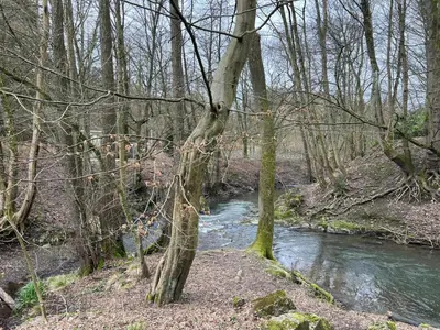 Naturlandschaft in der Nähe der Ferienwohnung
