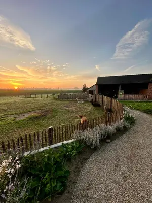 Blick auf den Sonnenuntergang/Sonnenaufgang von der Ferienwohnung aus oder aus der Nähe