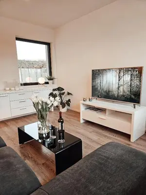 TV/Unterhaltungsangebot in der Unterkunft Modernes Appartment im Grünen