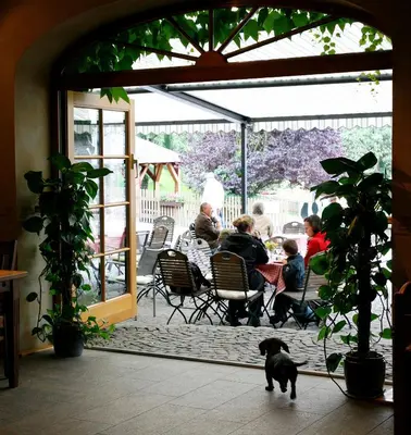 Haustiere von Gästen der Unterkunft Schultenhof