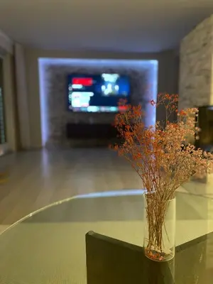 TV/Unterhaltungsangebot in der Unterkunft Haus mit Wintergarten und Kamin
