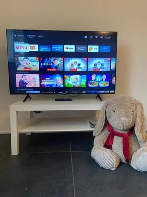 TV/Unterhaltungsangebot in der Unterkunft Get-your-flat - FeWo 155, 2 Zr Kü & Traum-Retro-Bad, cosy & super sweet, stadtnah & ruhig, Hund nur auf Anfrage,