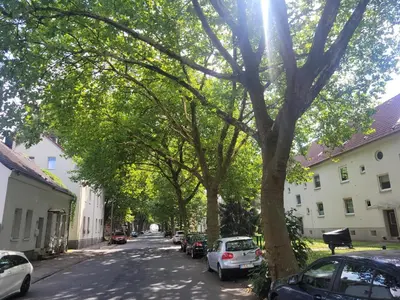 Die Umgebung um die Ferienwohnung