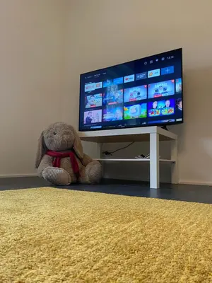 TV/Unterhaltungsangebot in der Unterkunft Get-your-flat - FeWo 155, 2 Zr Kü & Traum-Retro-Bad, cosy & super sweet, stadtnah & ruhig, Hund nur auf Anfrage,