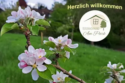 Grundriss der Unterkunft Großzügige Wohnung am Comberg-Park