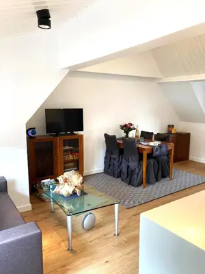 TV/Unterhaltungsangebot in der Unterkunft Zentrales modernes Apartment, Nähe Zoo und Stadion