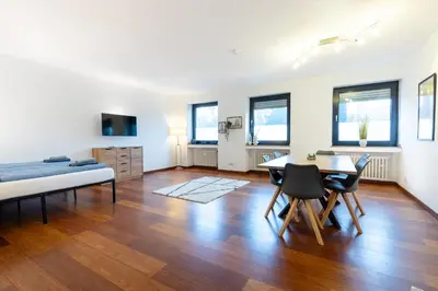 TV/Unterhaltungsangebot in der Unterkunft Rhine Apartment