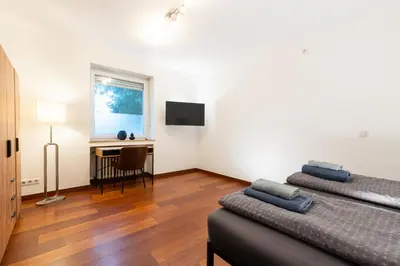 TV/Unterhaltungsangebot in der Unterkunft Rhine Apartment