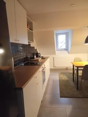 Küche/Küchenzeile in der Unterkunft TOPFLAT mit Küche I gratis Parkplatz I drei Schlafzimmer I zentrumnah