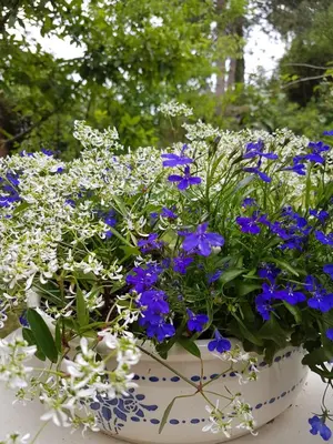 Ein Garten an der Unterkunft Ferienwohnung Hönnetal