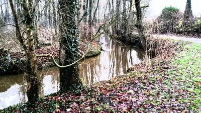 Naturlandschaft in der Nähe der Ferienwohnung