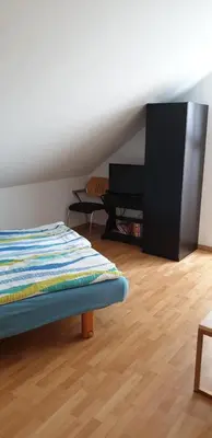 TV/Unterhaltungsangebot in der Unterkunft Hemich-Esch