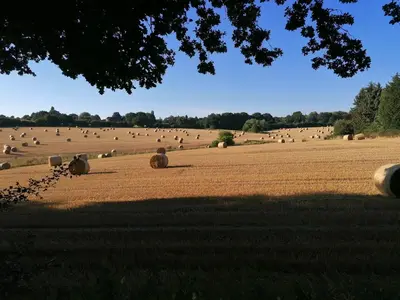 Naturlandschaft in der Nähe der Ferienwohnung
