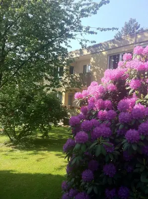 Ein Garten an der Unterkunft Nett in Mettmann