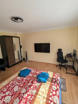 TV/Unterhaltungsangebot in der Unterkunft SK Apartments - Schalke