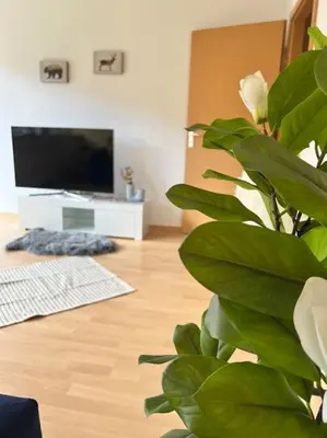 TV/Unterhaltungsangebot in der Unterkunft Casa Cielo
