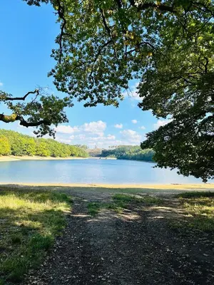 Naturlandschaft in der Nähe der Pension